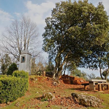 Apartamentos Fonda Finet Sant Felíu de Pallarols Εξωτερικό φωτογραφία
