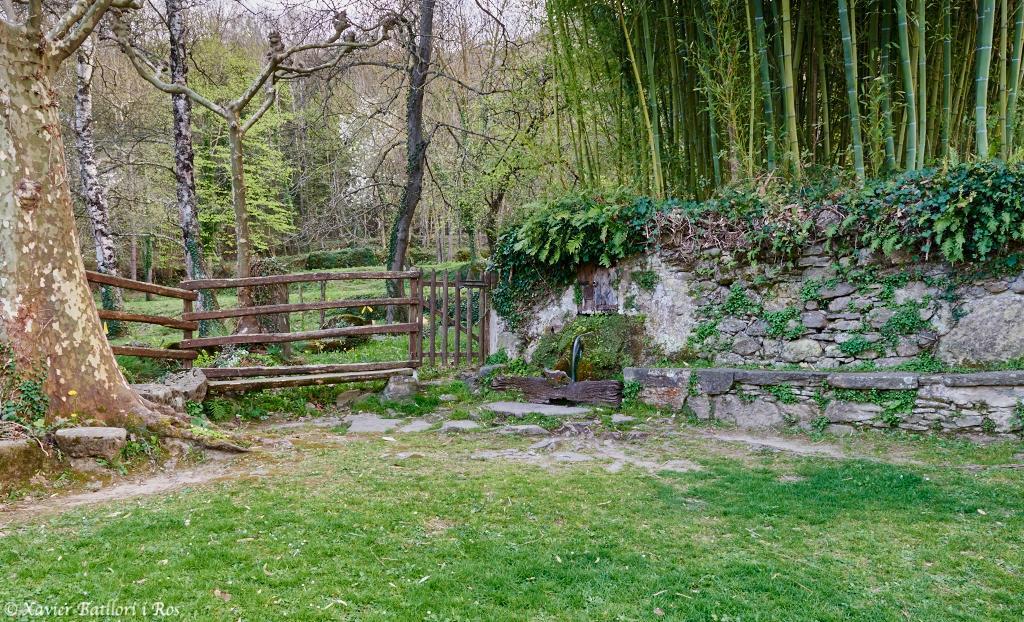 Apartamentos Fonda Finet Sant Felíu de Pallarols Εξωτερικό φωτογραφία
