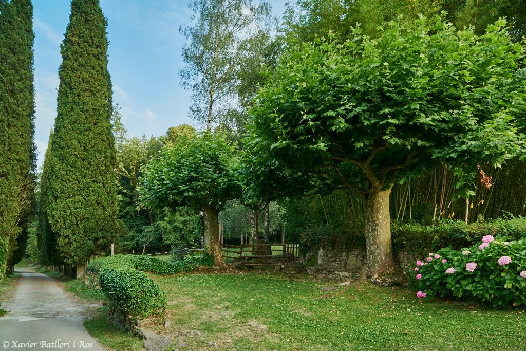 Apartamentos Fonda Finet Sant Felíu de Pallarols Εξωτερικό φωτογραφία